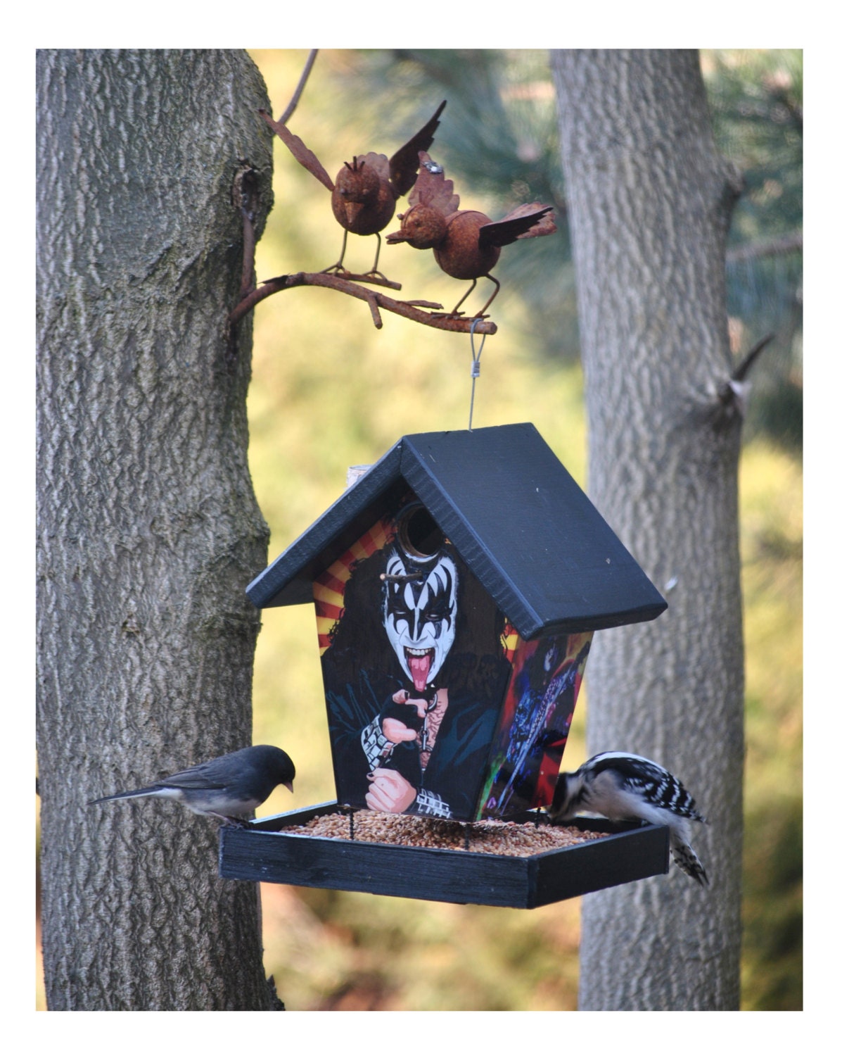 Kiss Bird Feeder Music