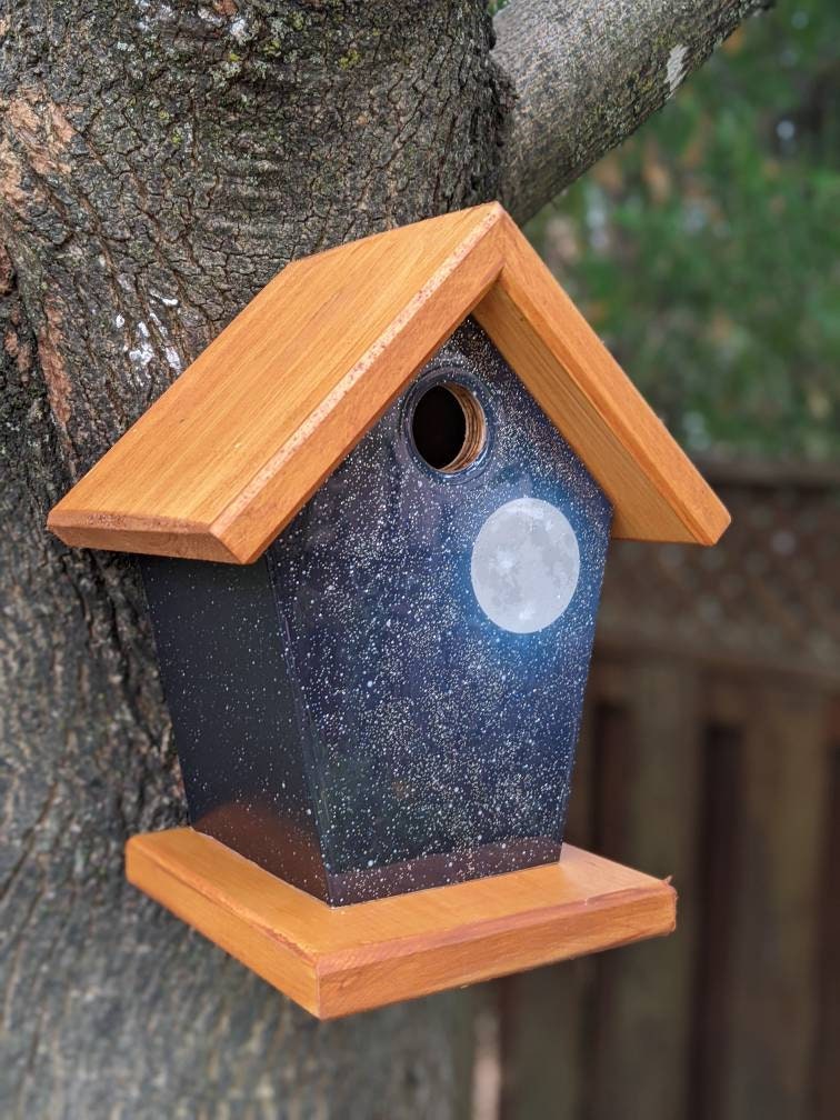 Full Moon Birdhouse