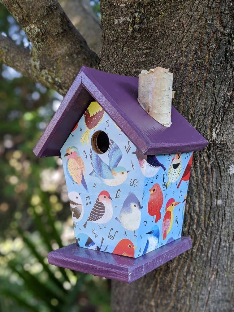 Songbirds (Blue Roof) Birdhouse