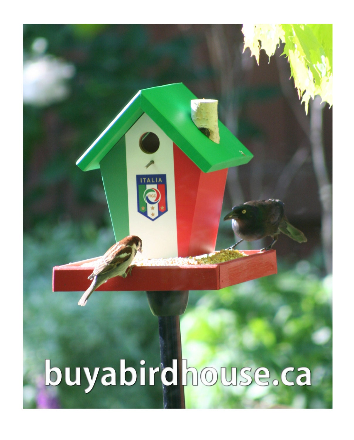 Italy World Cup Soccer Bird Feeder