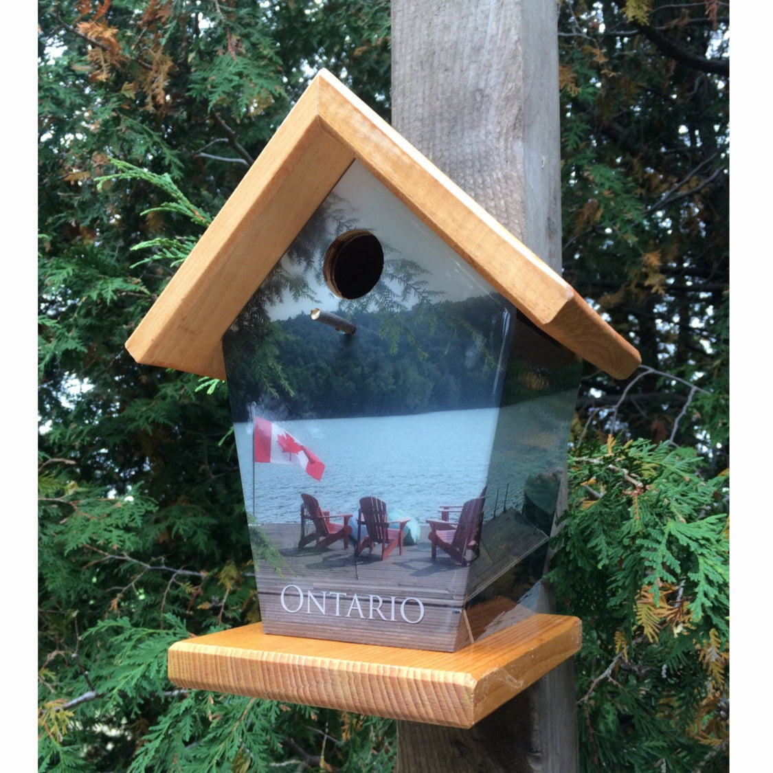 Ontario Birdhouse