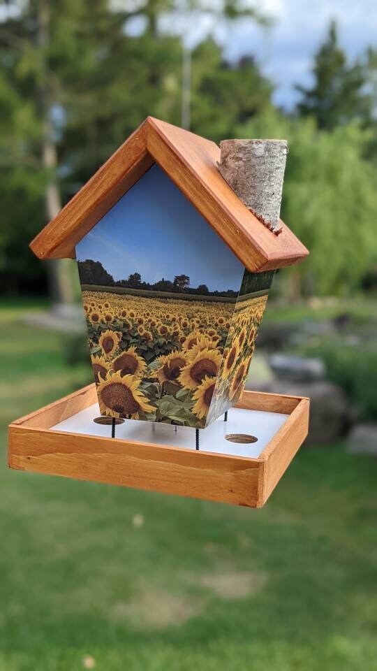 Sunflower Bird Feeder