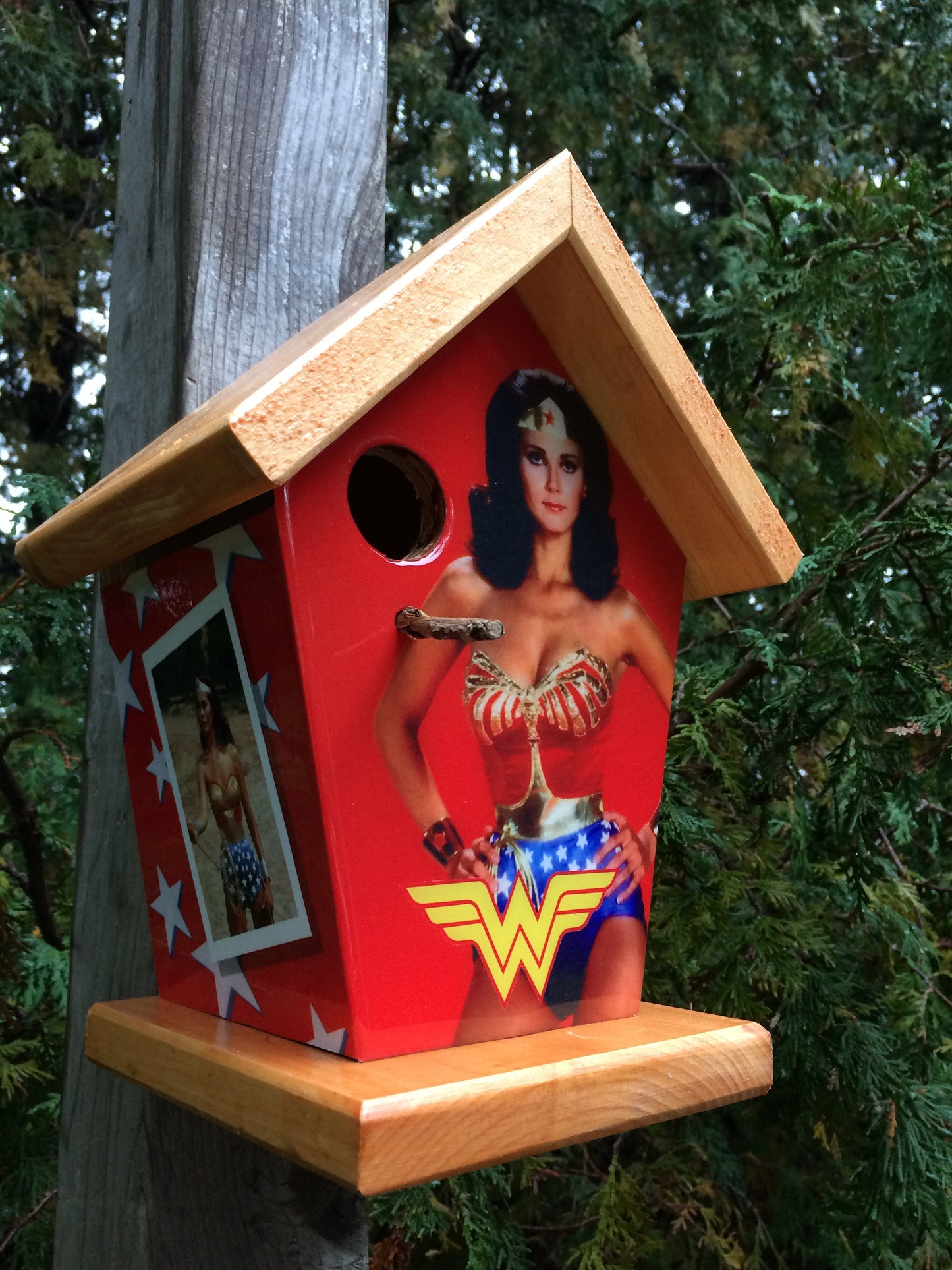 Wonder Woman Birdhouse