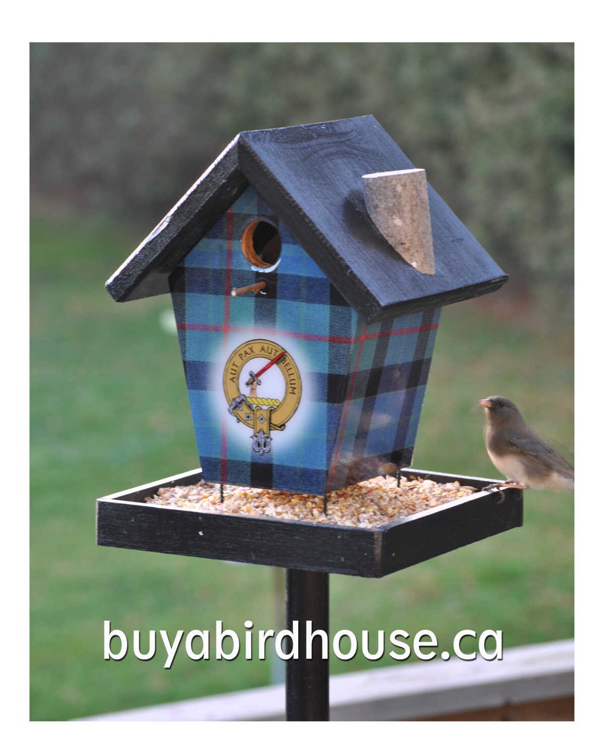 Gunn Clan & Tartan Feeder