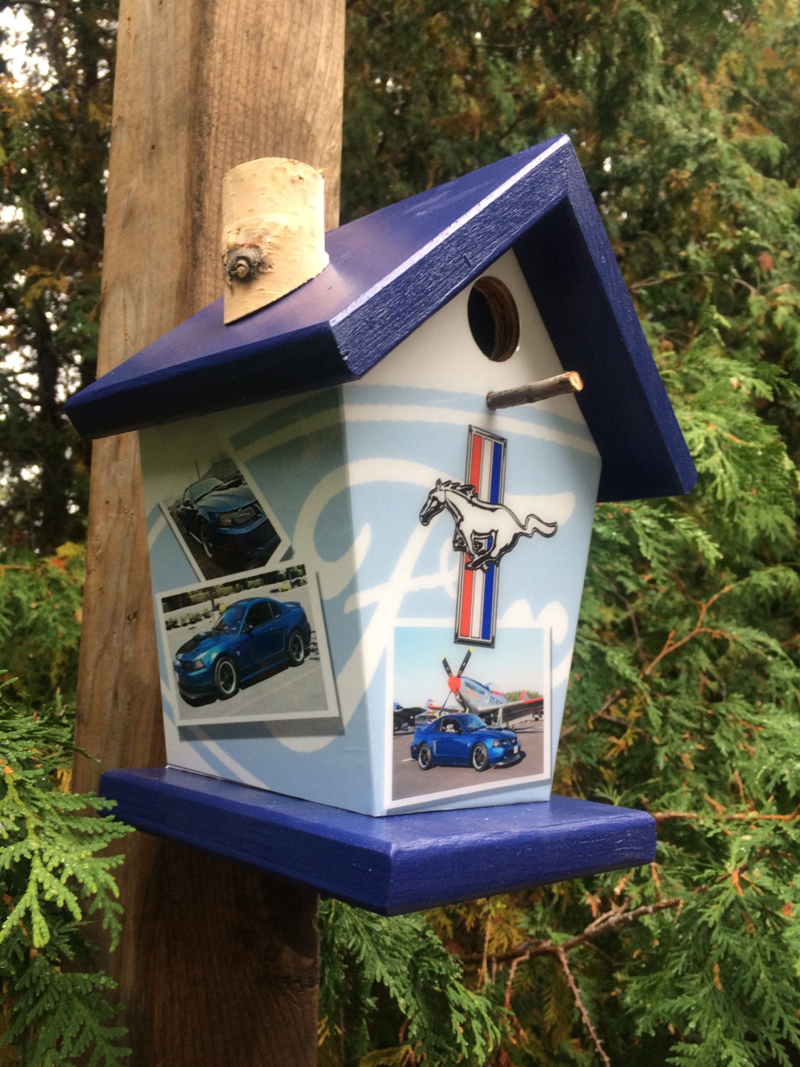 Mustang Birdhouse