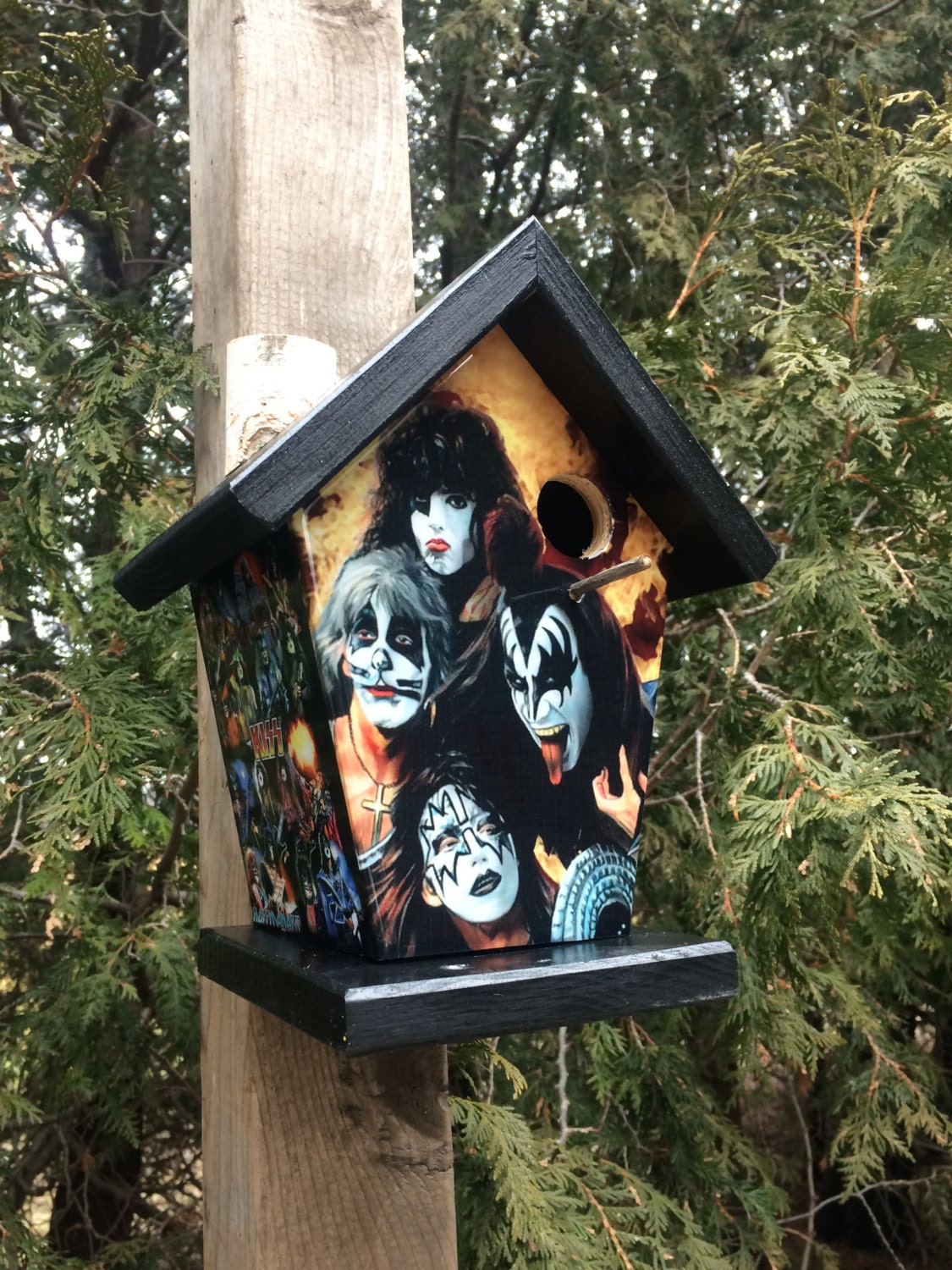 Band Kiss Birdhouse Music