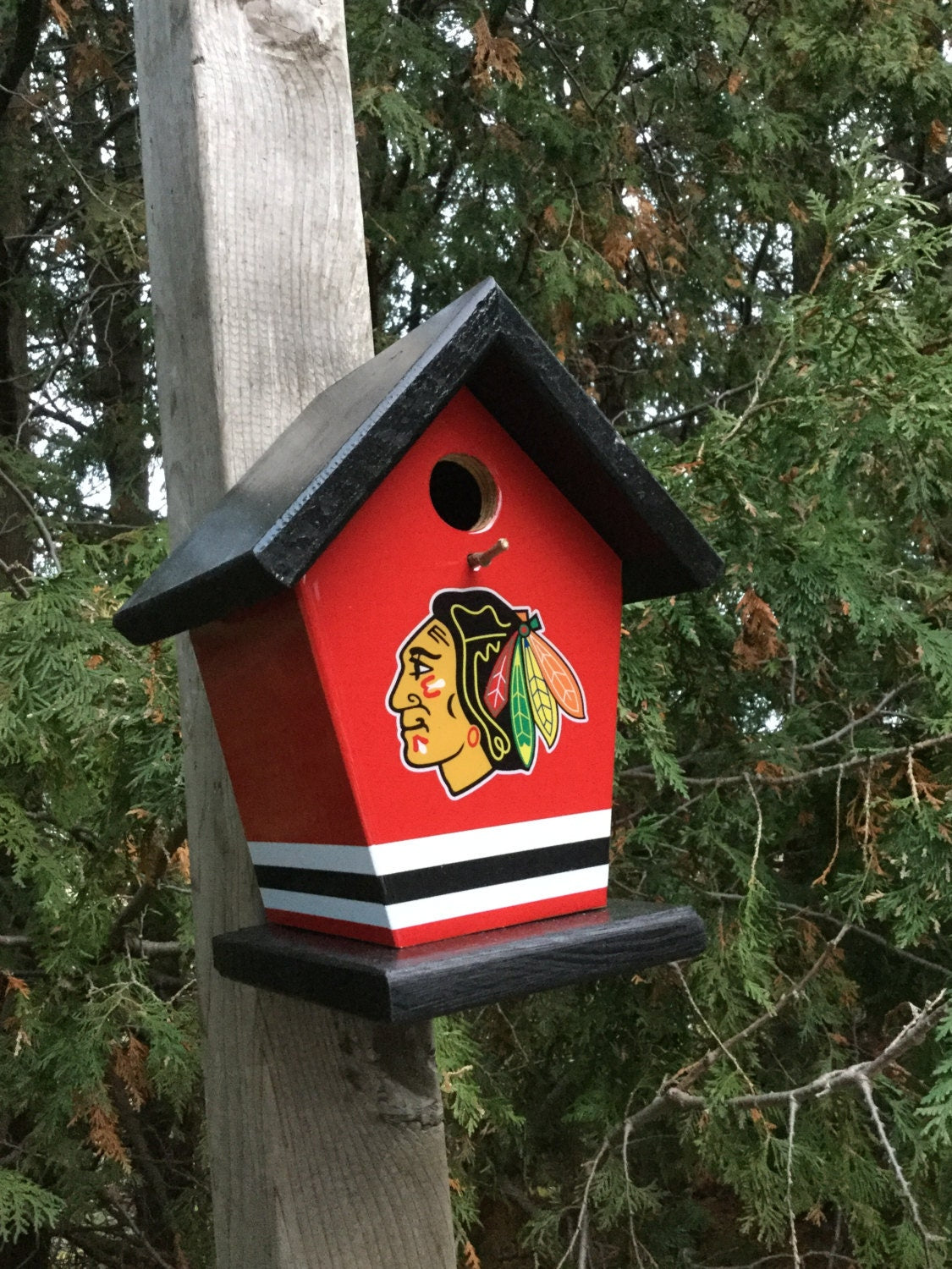 Black Hawks Birdhouse  Sports