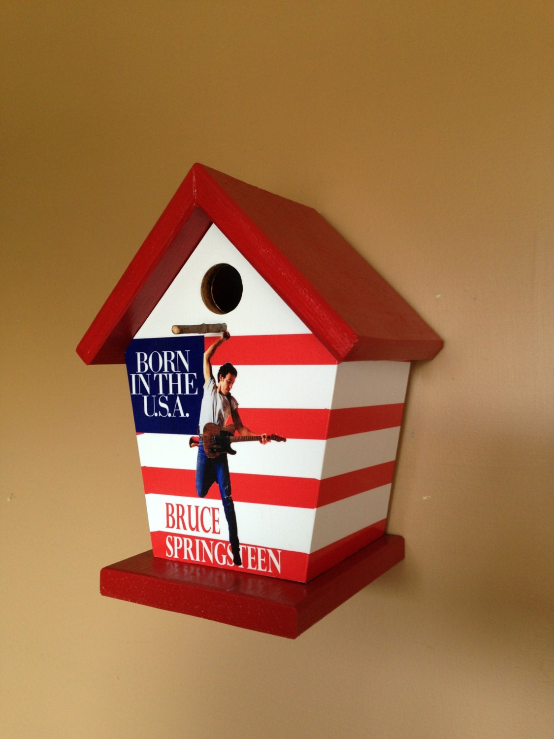 Bruce Springsteen Birdhouse Music