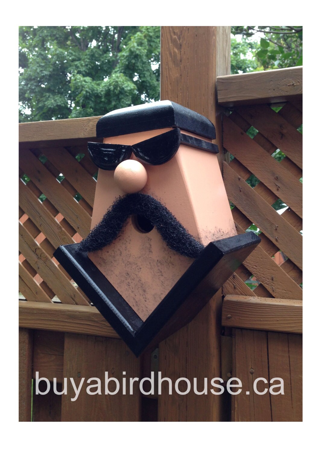 Biker Dude! Birdhouse