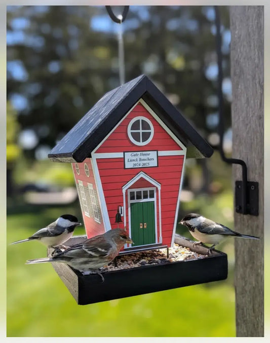 How to Attract Birds to a Feeder: 8 Simple Fixes