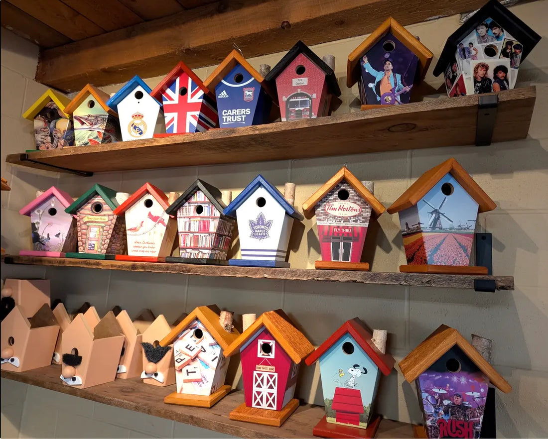 Sports Team Birdhouse Ideas for Loyal Fans