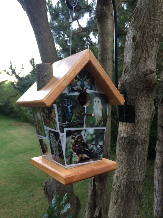 Owl Photos Birdhouse