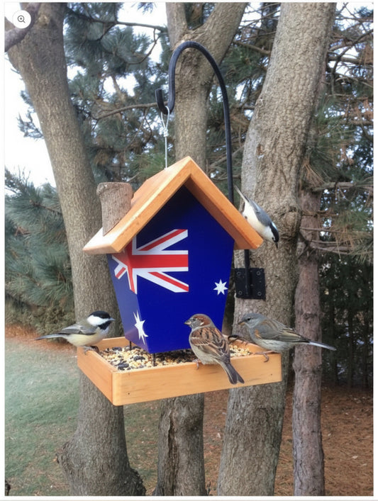 Australia bird feeder