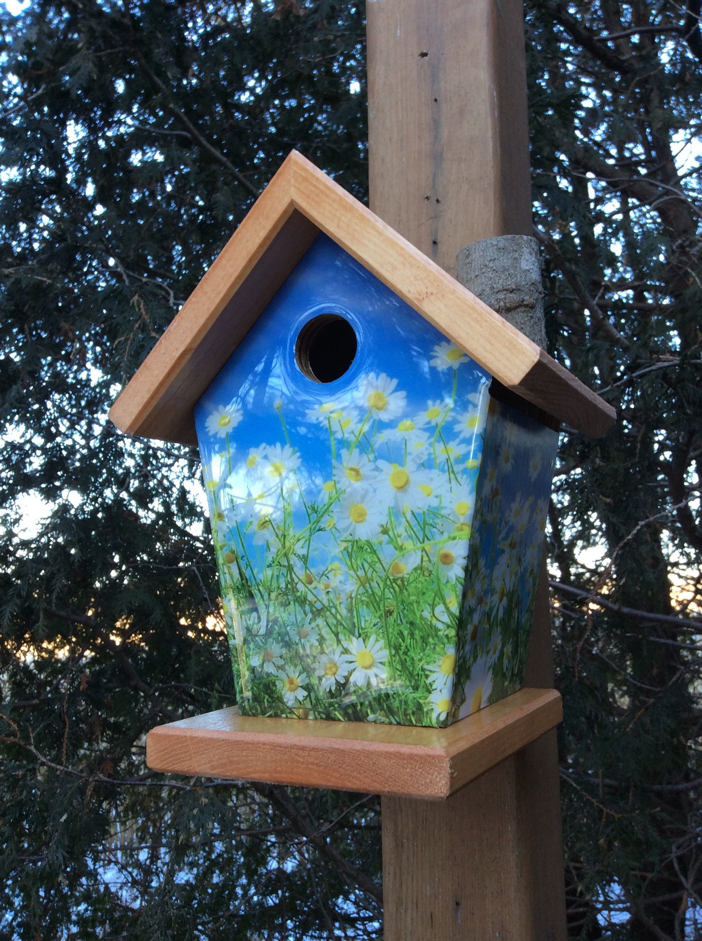 Daisy Birdhouse