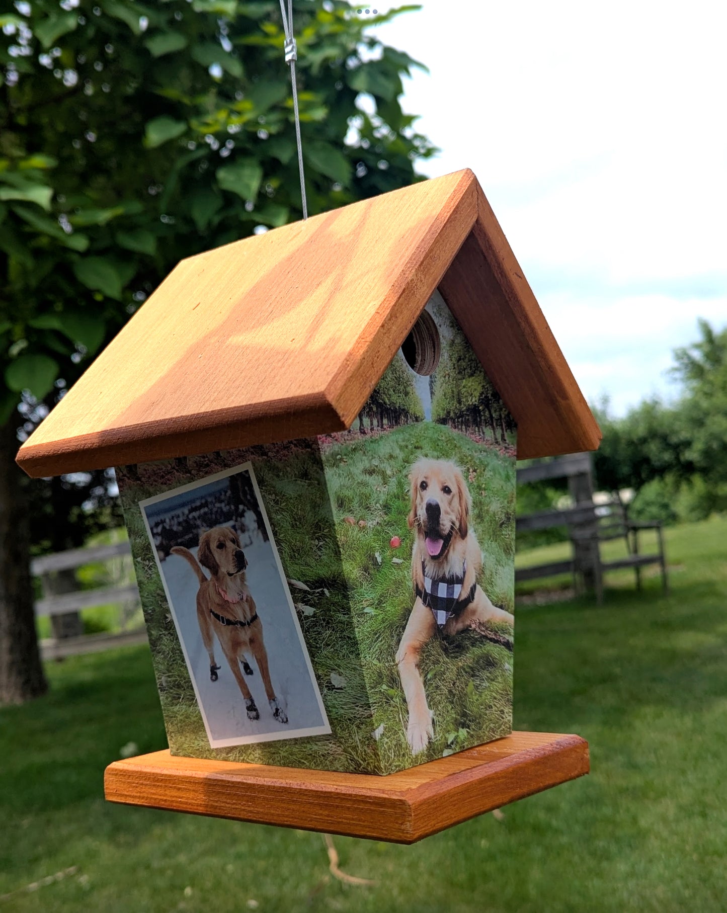 Your Pet four-sided Birdhouse
