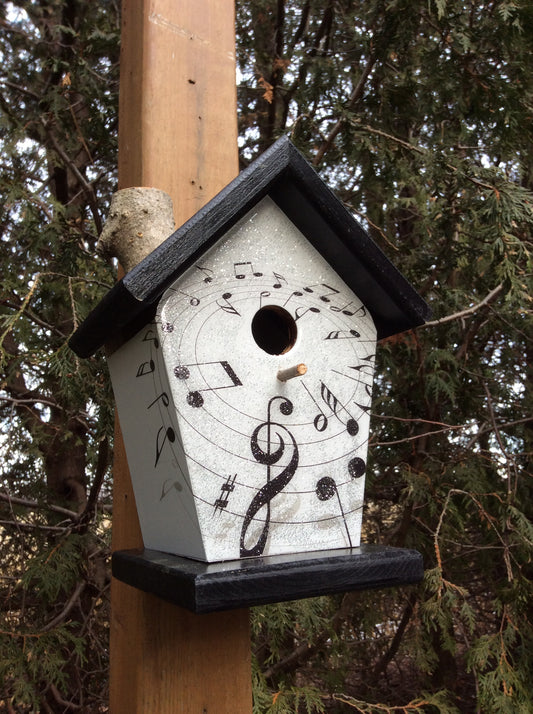 Music Lovers Birdhouse