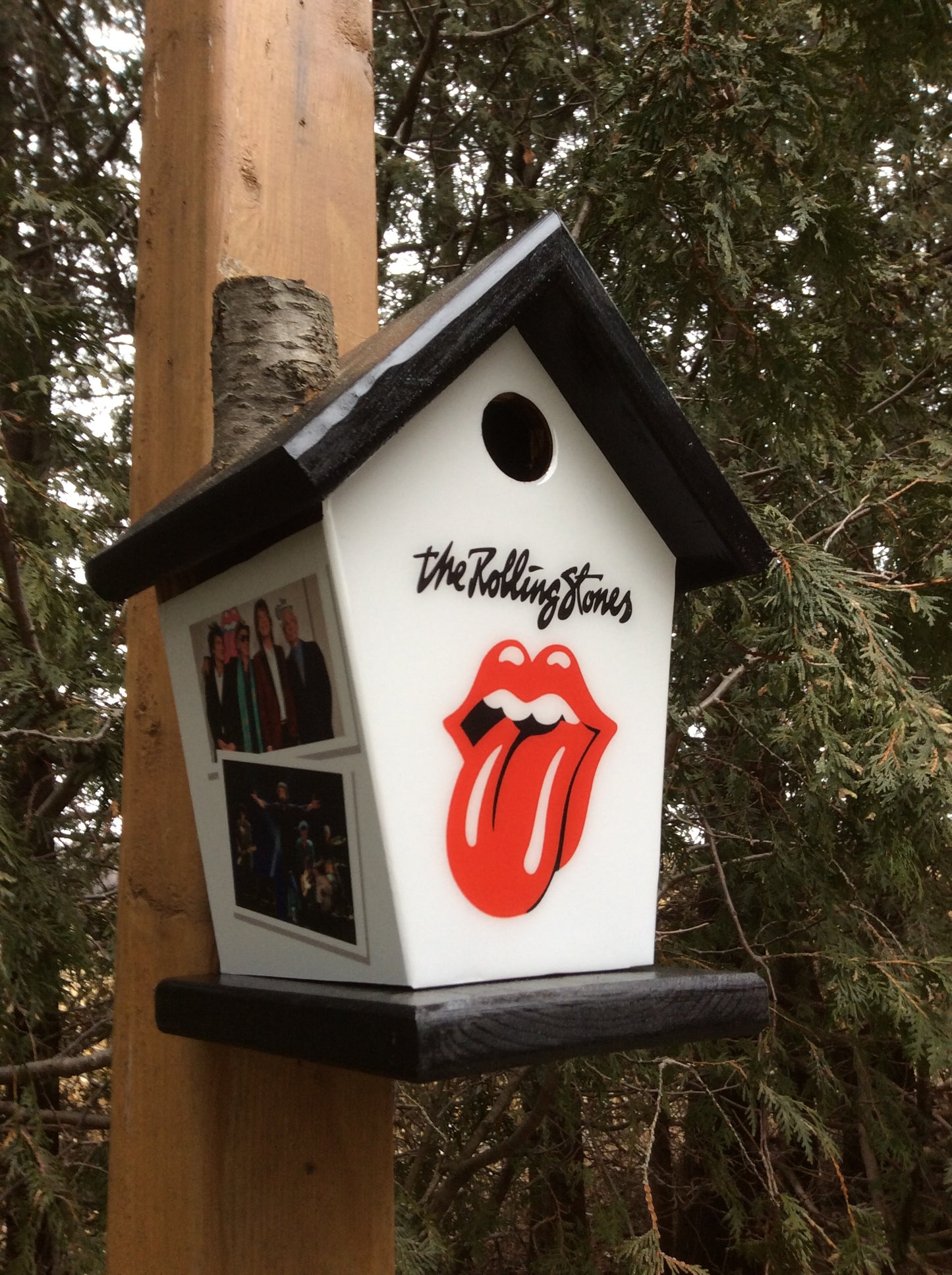 Rolling Stones Birdhouse