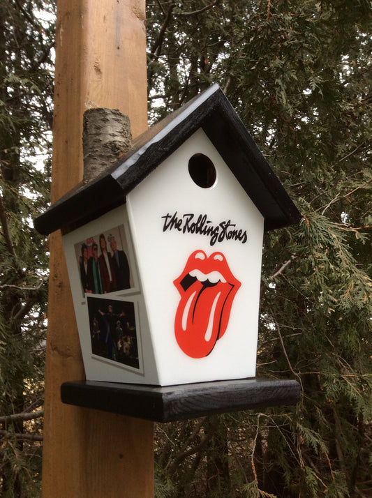 Rolling Stones Birdhouse