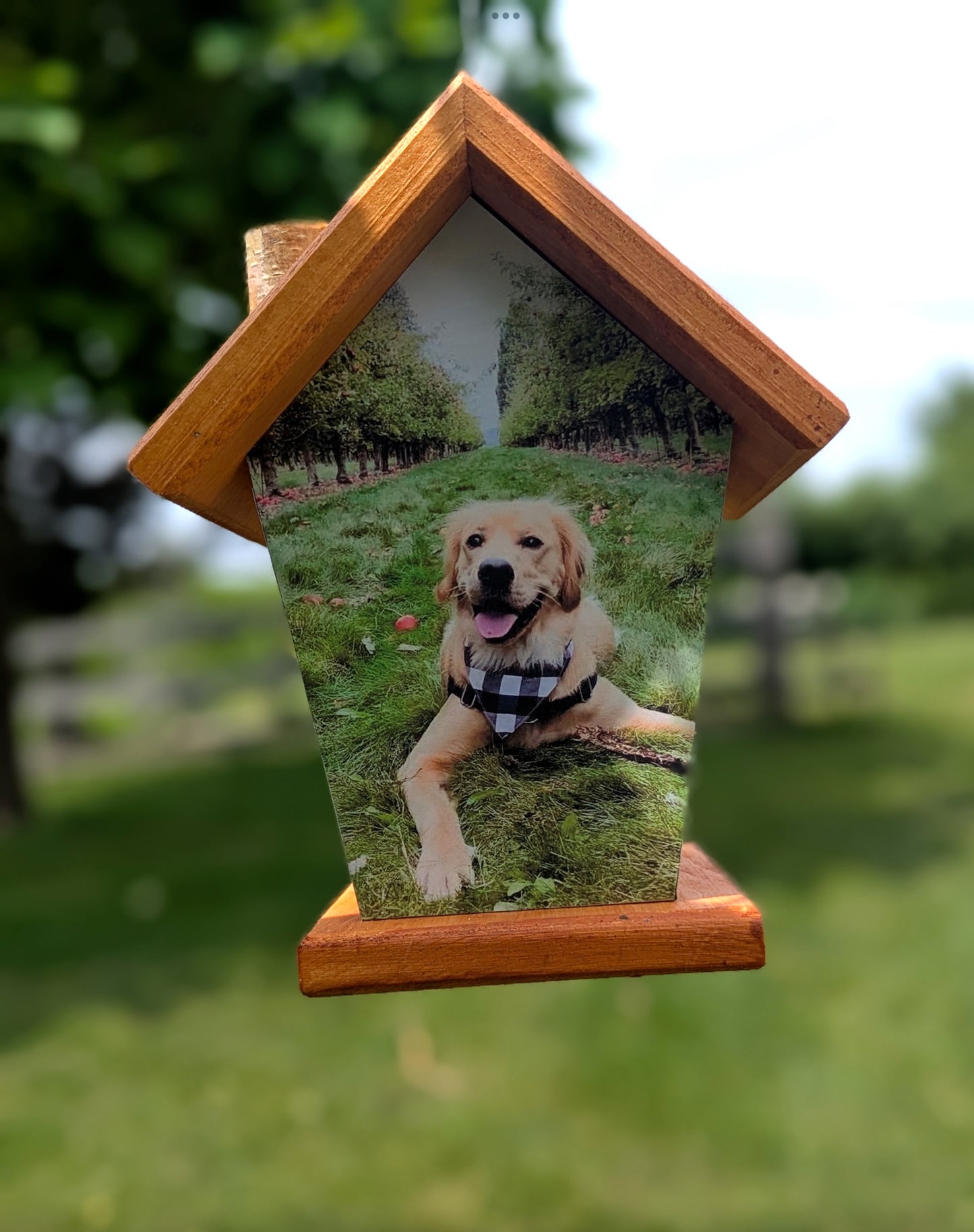 Your Pet four-sided Birdhouse