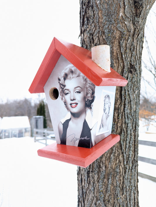 Marilyn Monroe Birdhouse