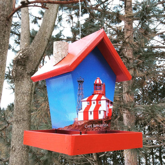 Cape Bonavista bird feeder