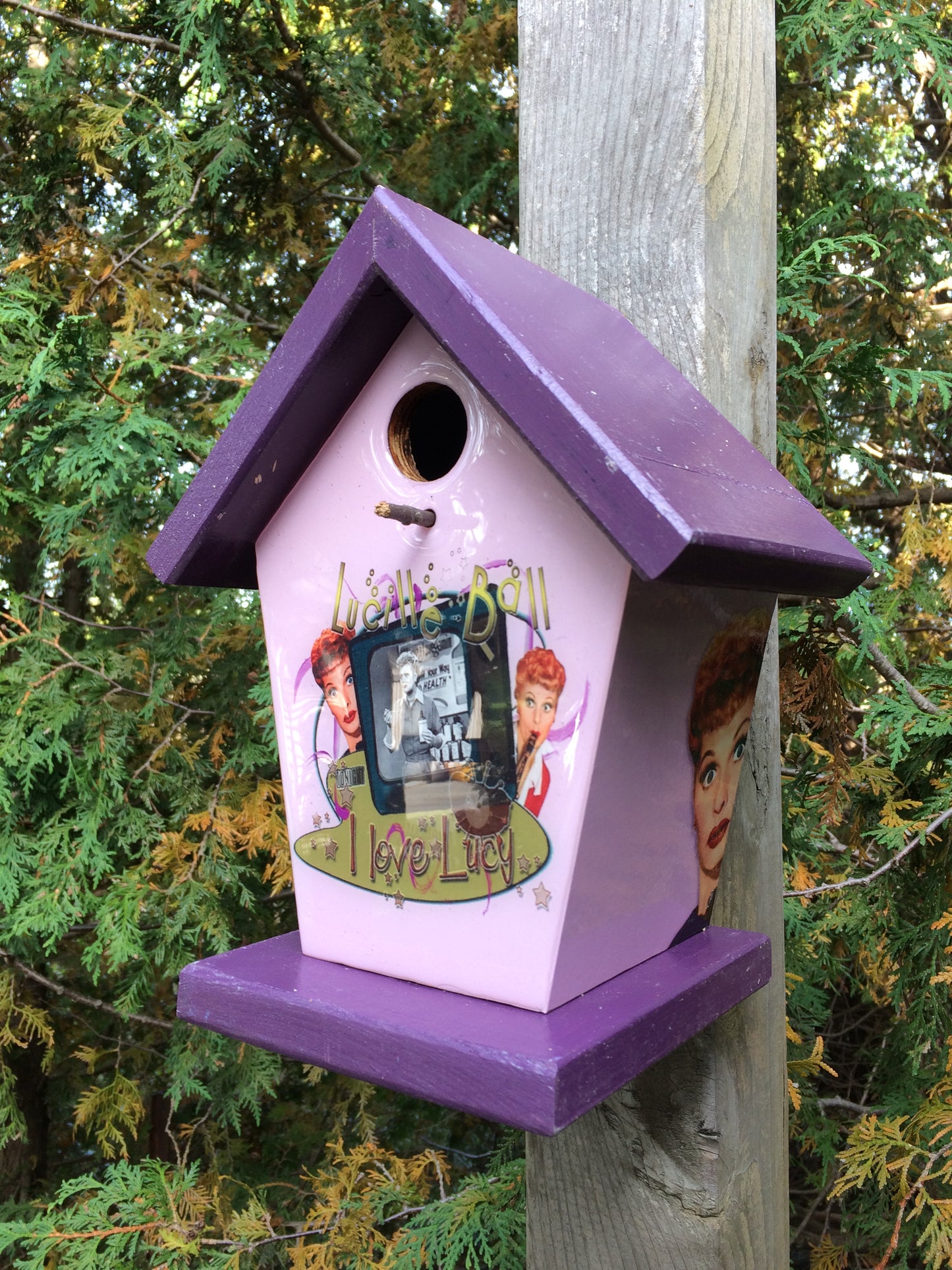 I love Lucy Birdhouse