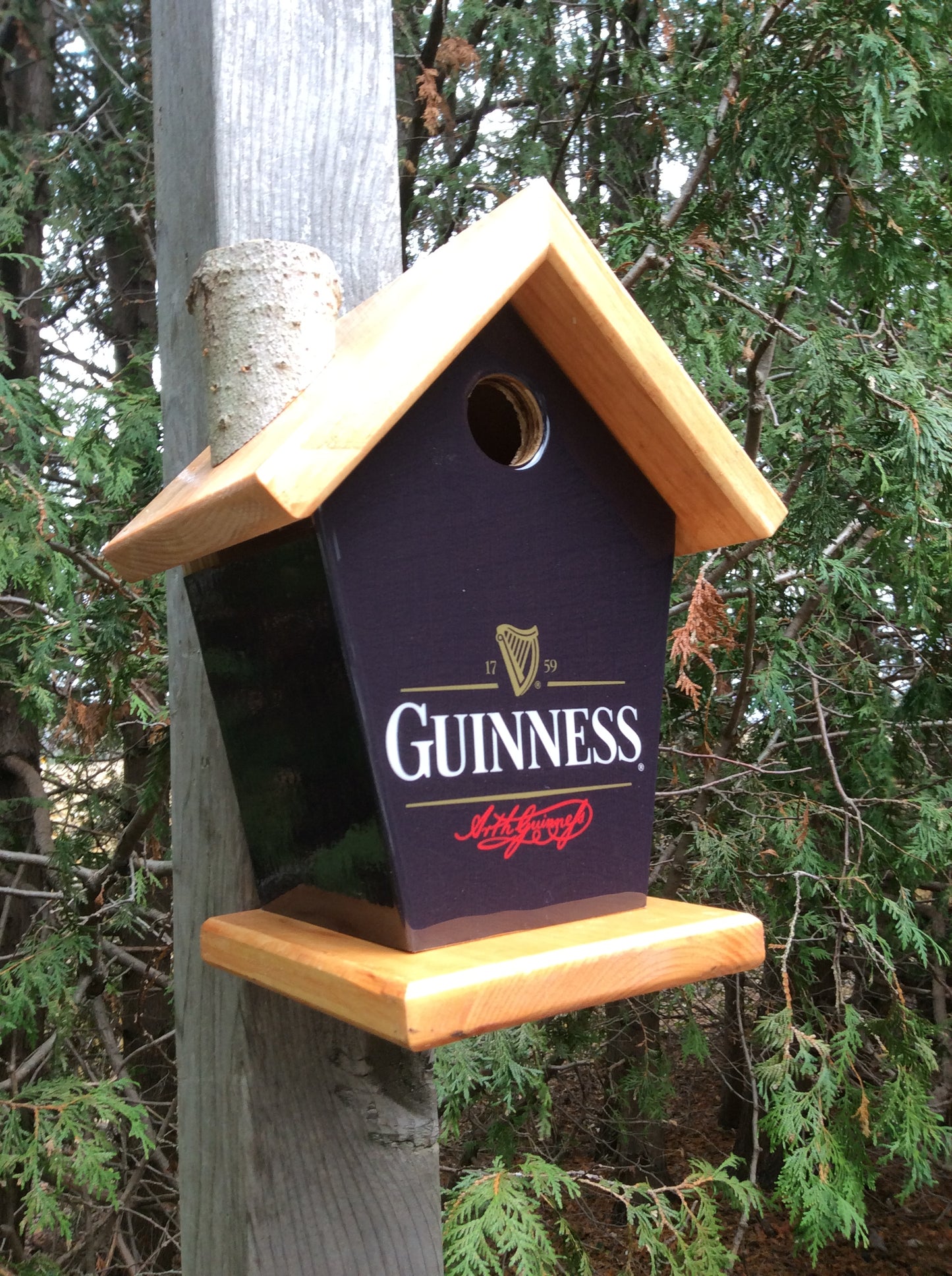 Guinness Birdhouse