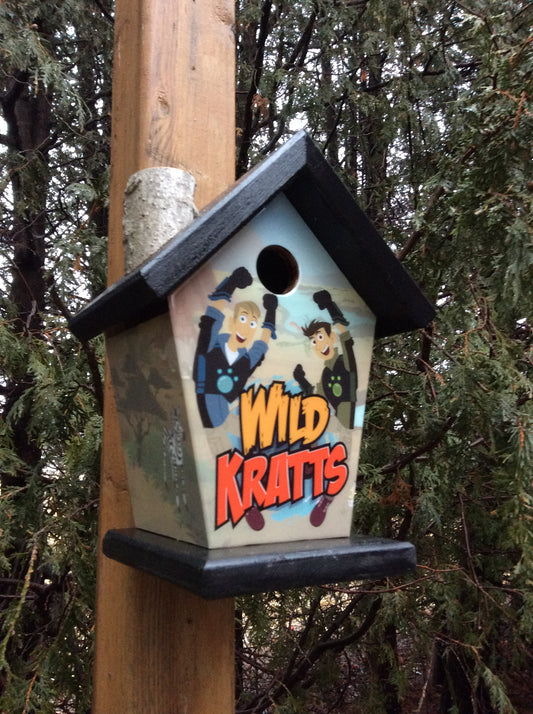 Wild Kratts Birdhouse