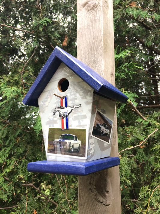 Ford Mustang Lovers Birdhouse