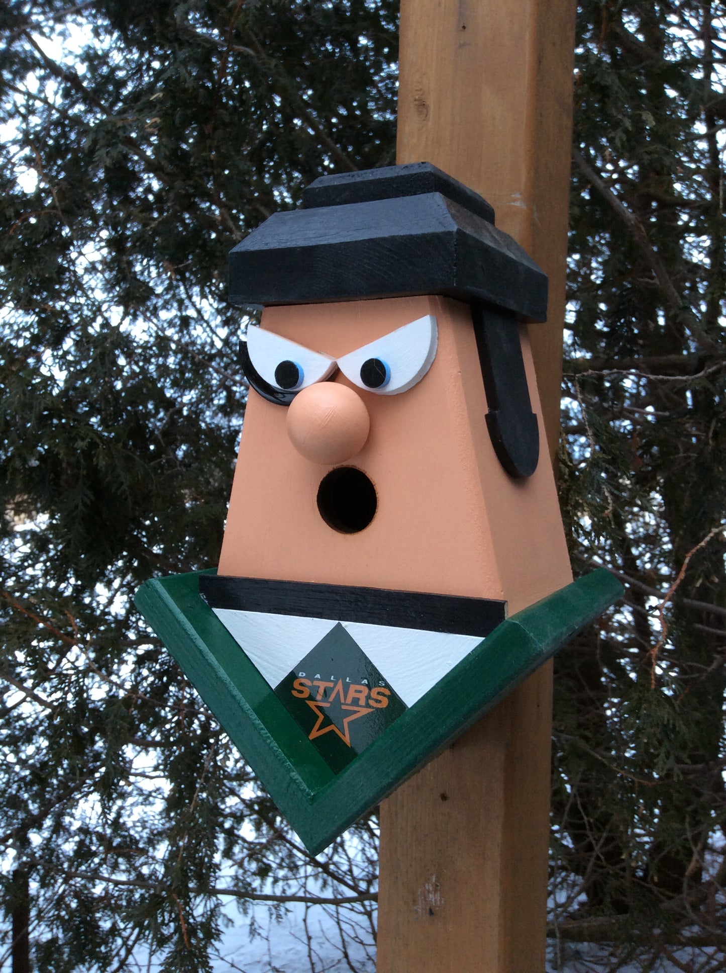 Dallas Stars hockey player birdhouse