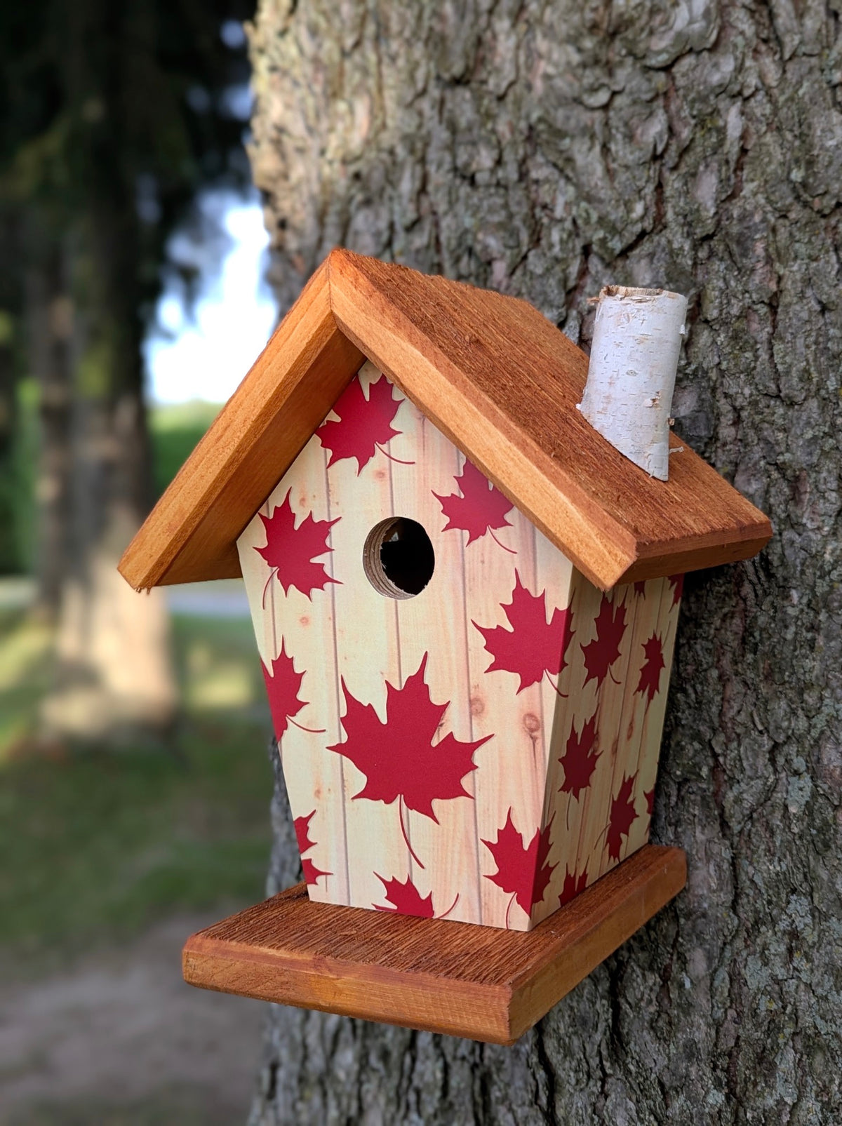 Canadian Maple Leaf Birdhouse