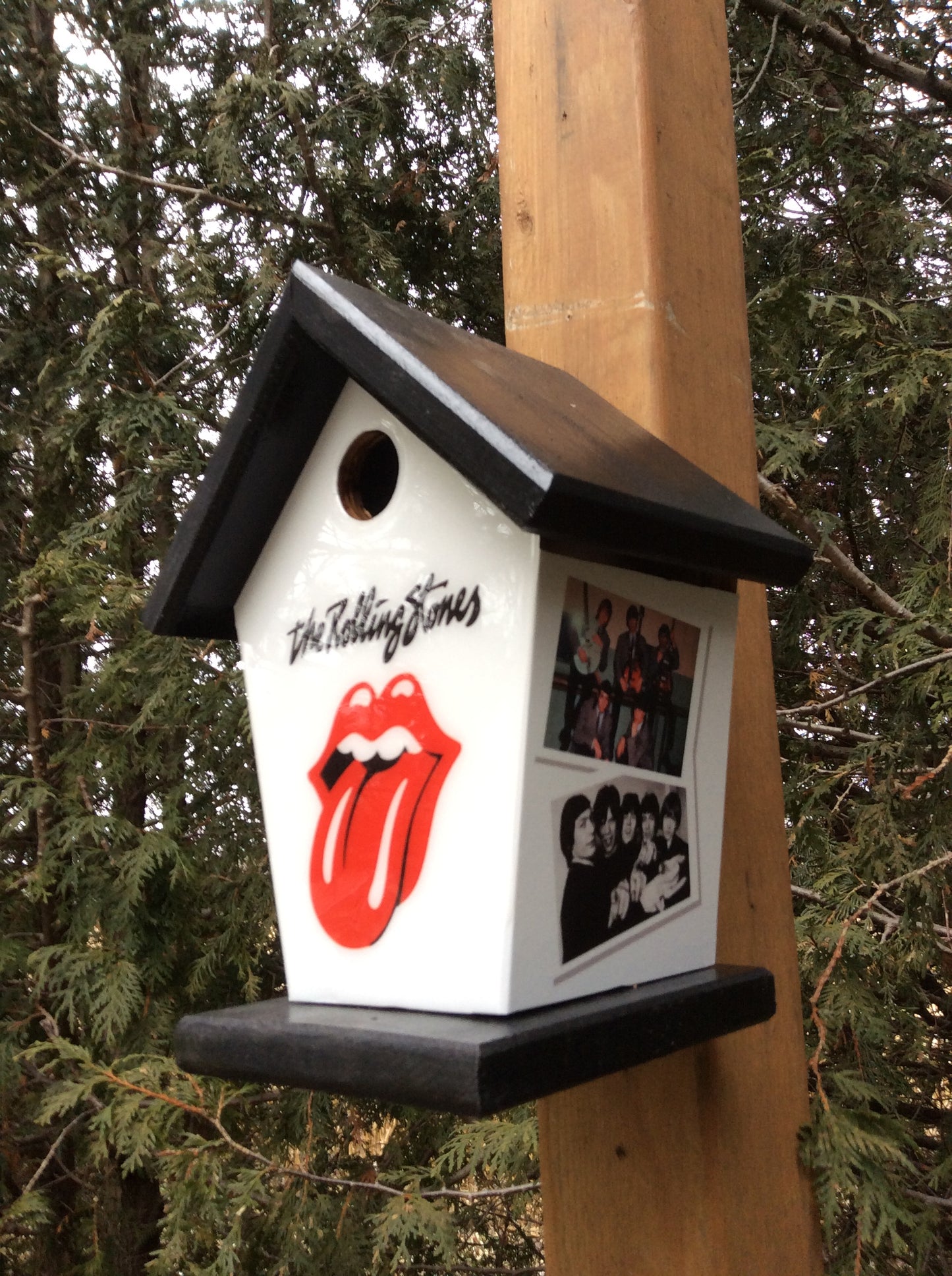 Rolling Stones Birdhouse