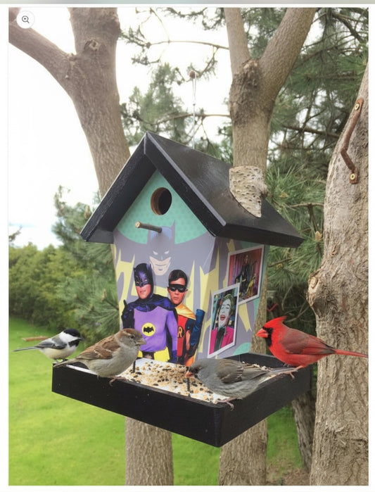 Batman & Robin Bird Feeder