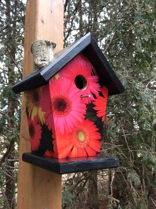 Daisies Black roof and base