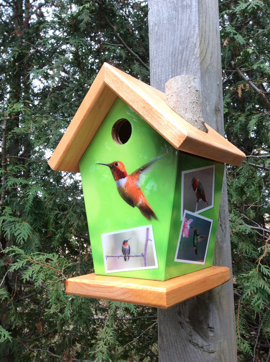 Humming Bird Birdhouse