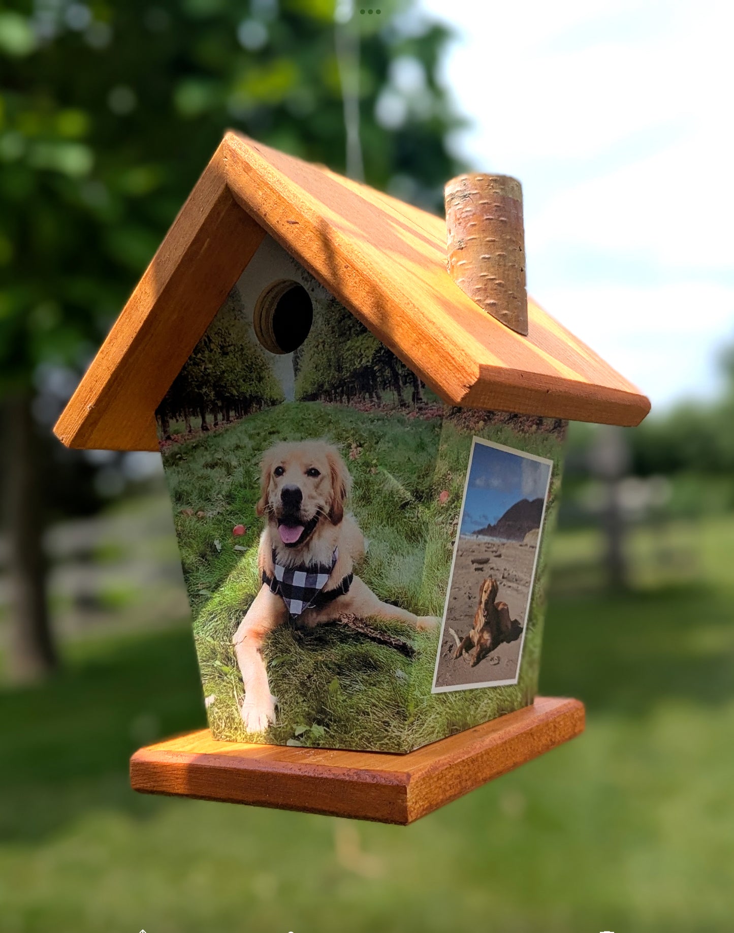 Your Pet four-sided Birdhouse