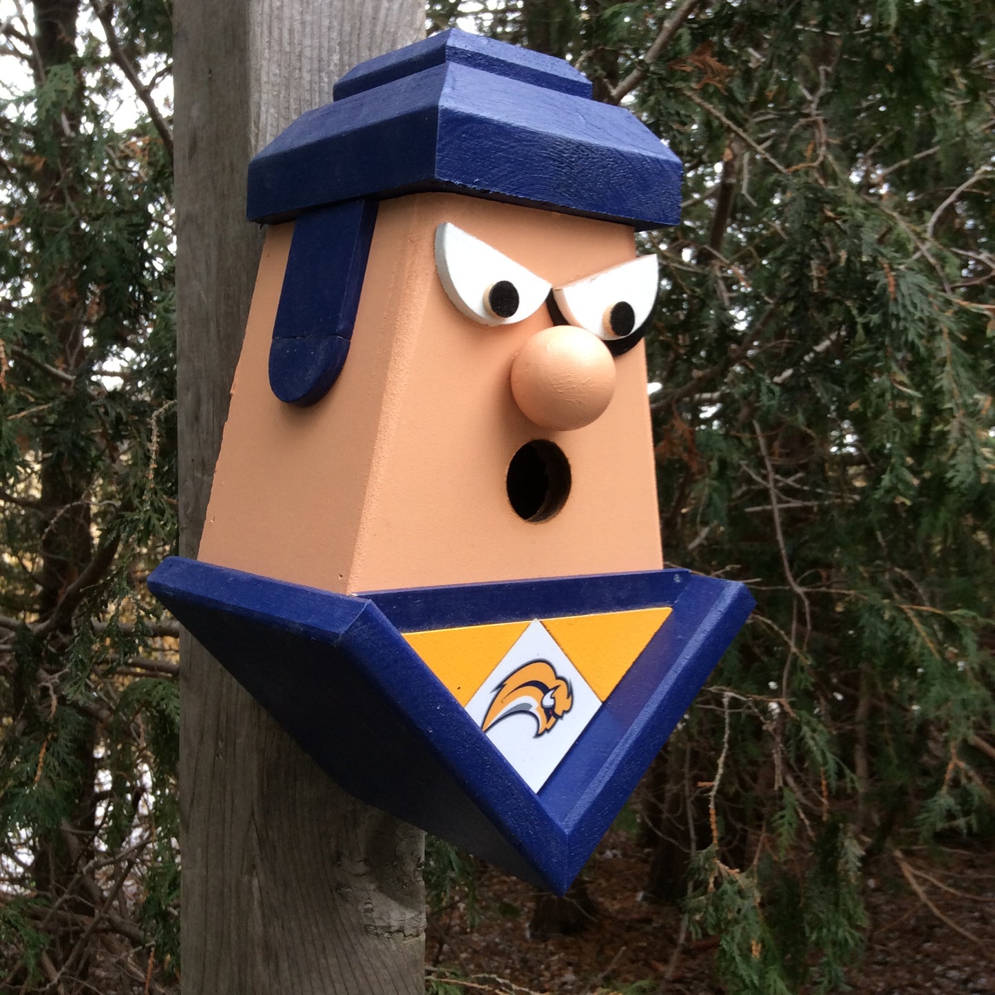 Buffalo Sabres Birdhouse