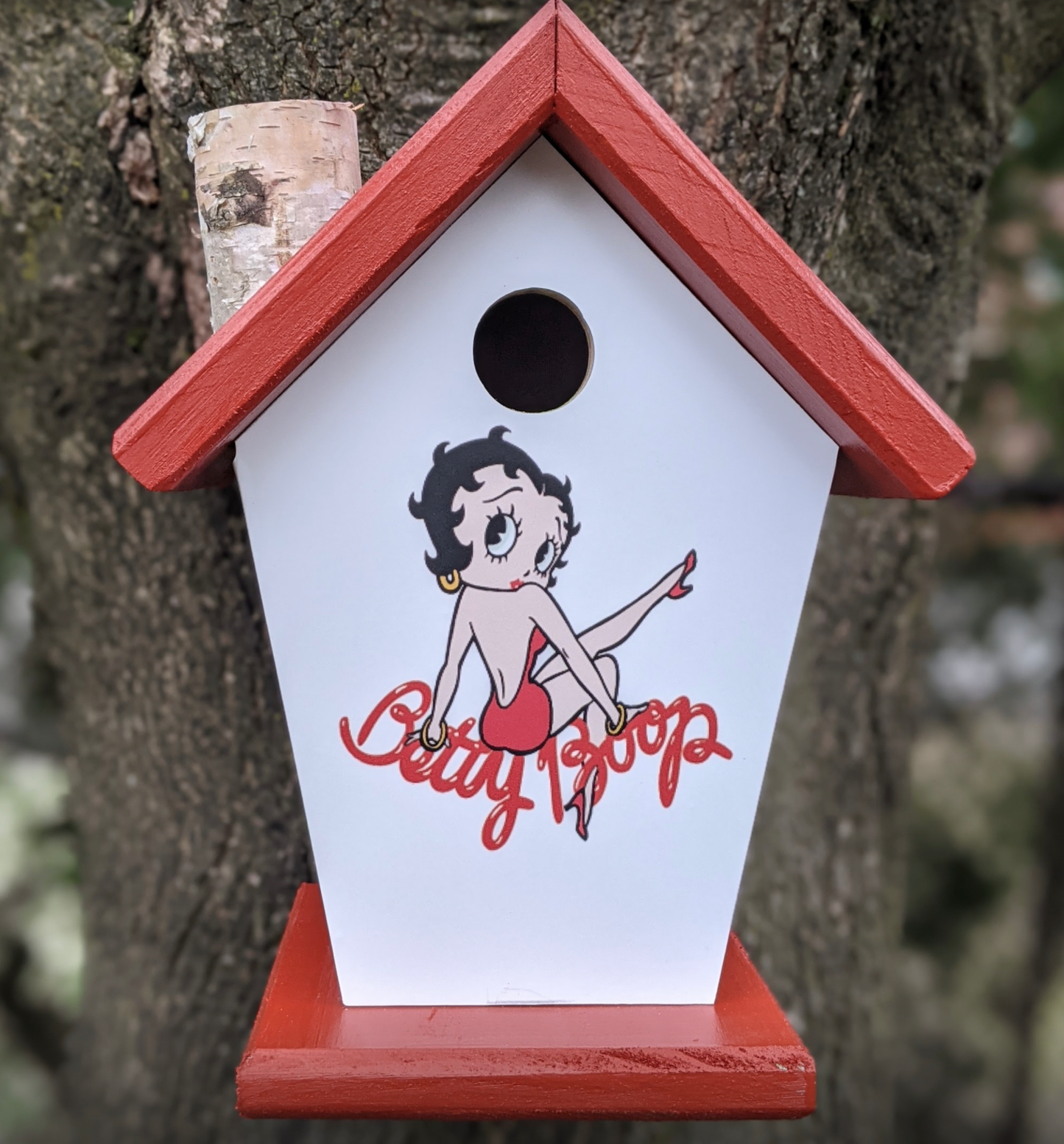 Betty Boop Birdhouse/Feeder