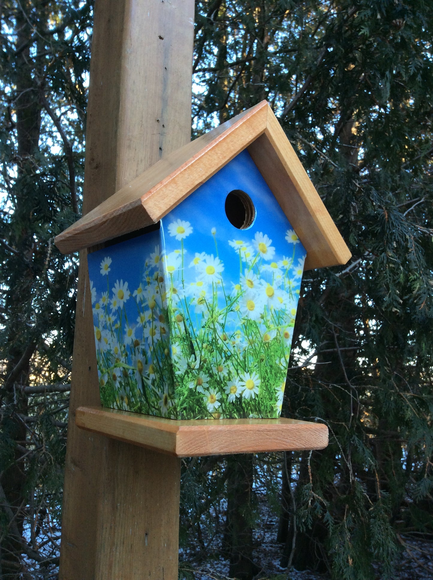 Daisy Birdhouse