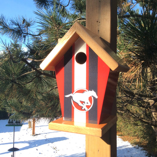 Denver Broncos Birdhouse