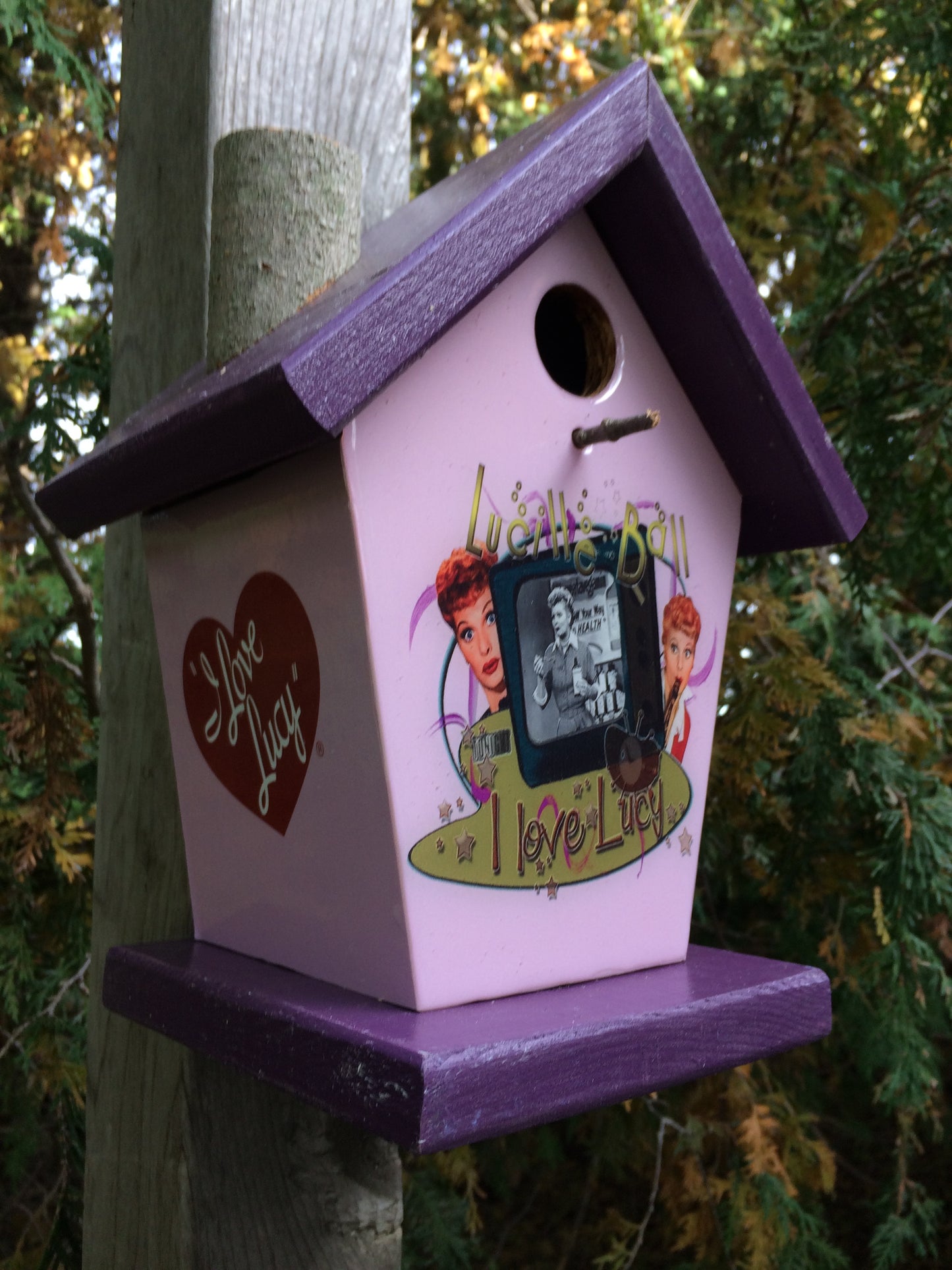 I love Lucy Birdhouse