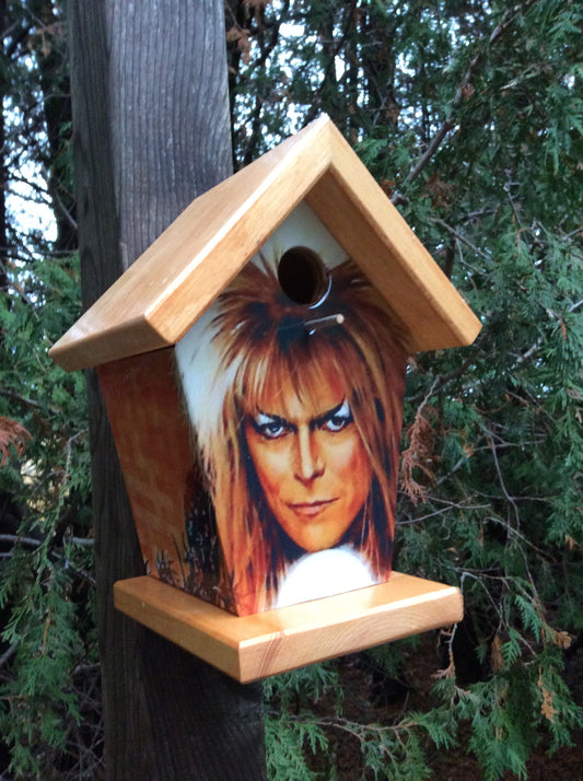 David Bowie Labyrinth Birdhouse