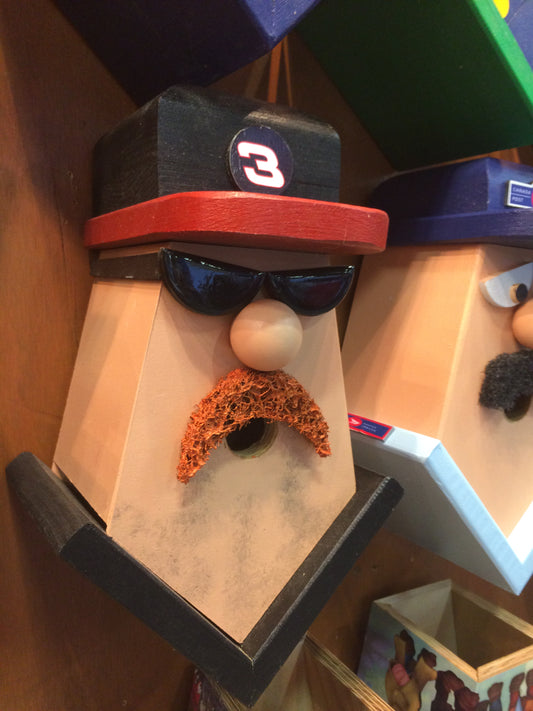 Dale Earnhardt Birdhouse
