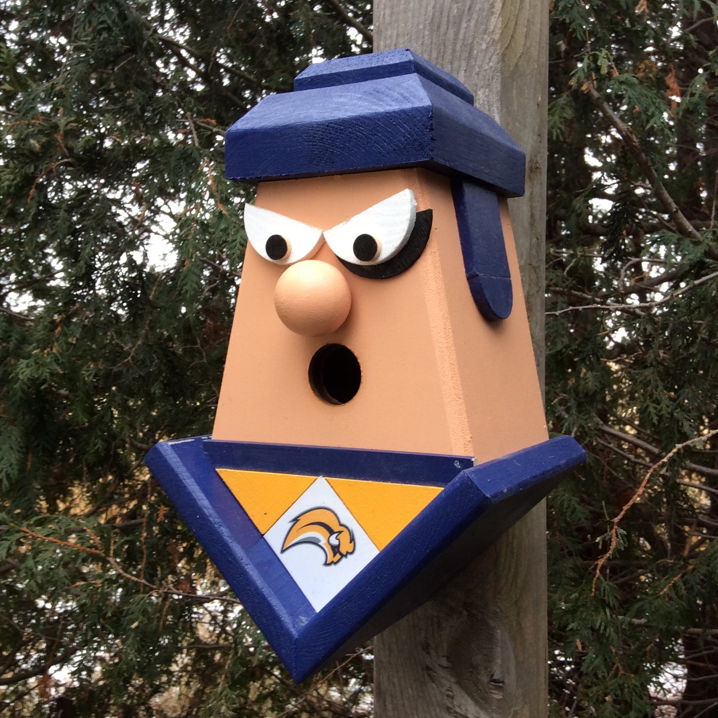 Buffalo Sabres Birdhouse