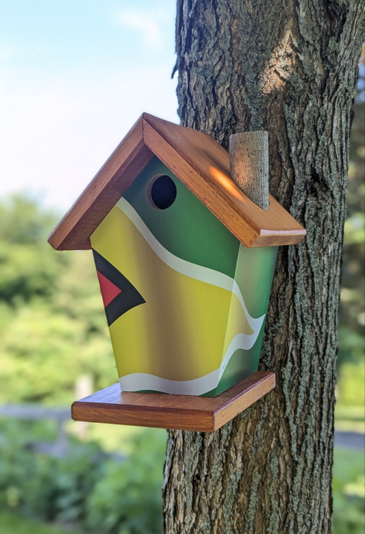 Guyana Flag Birdhouse