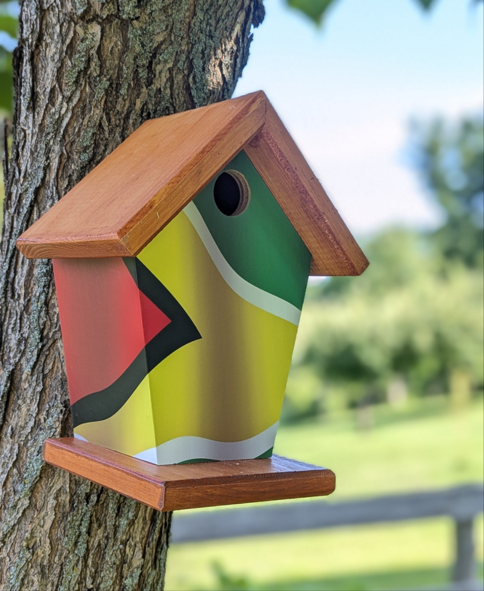 Guyana Flag Birdhouse