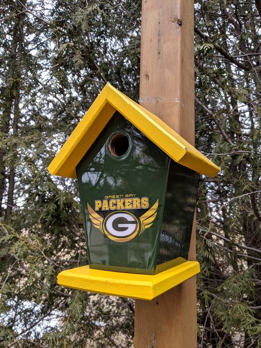 Green Bay Packers birdhouse