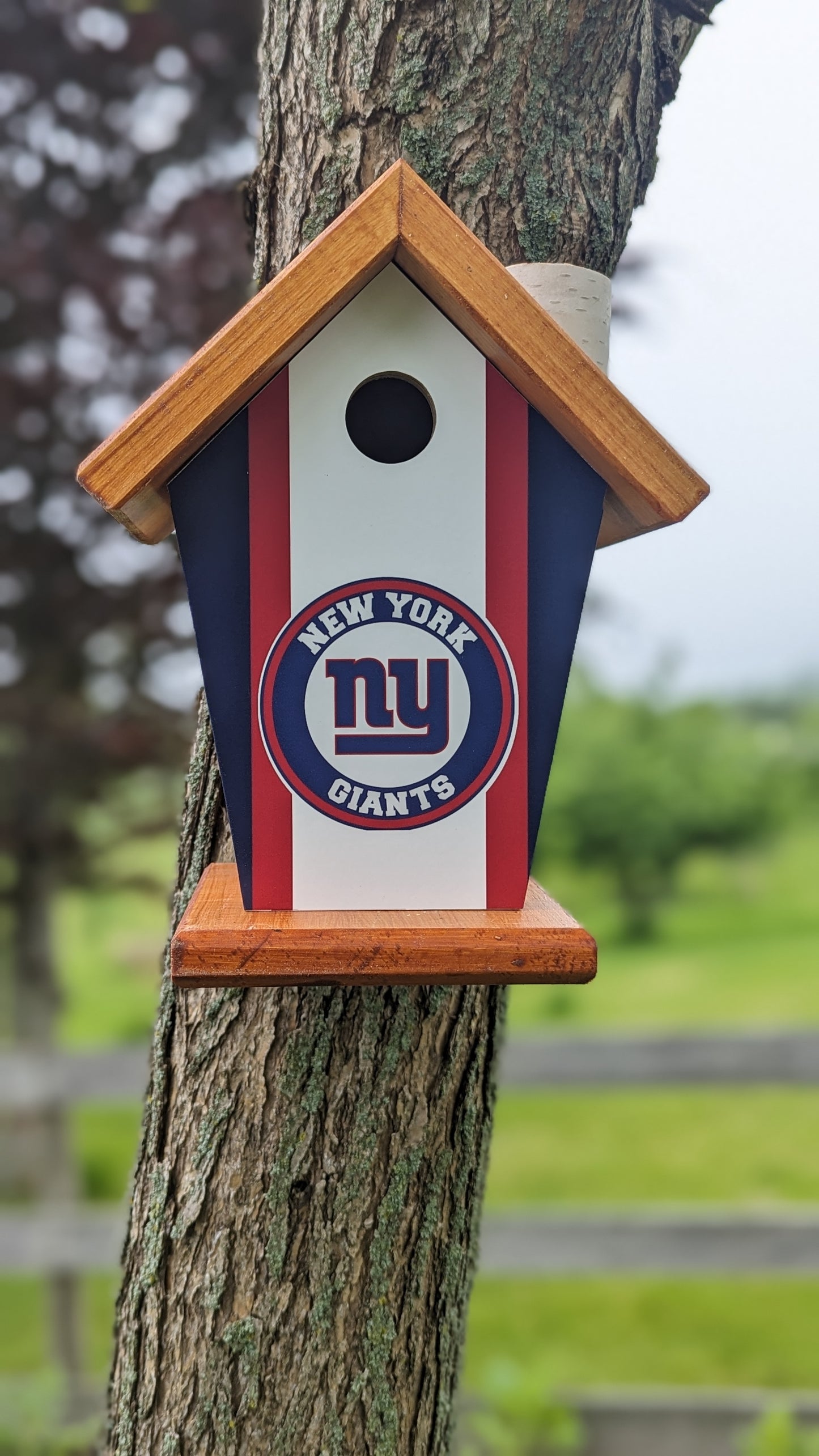 New York Giants Birdhouse Sports