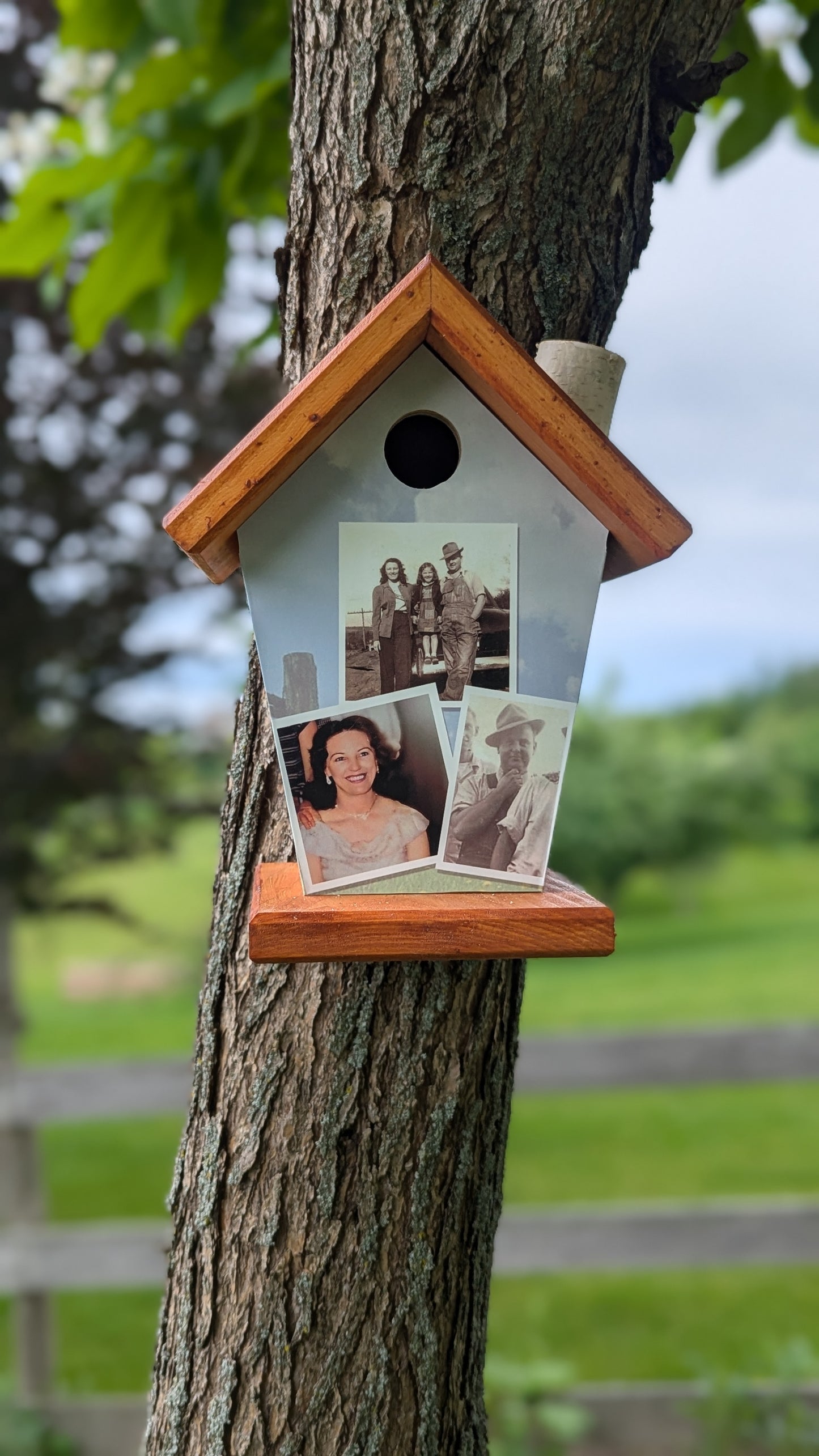 Personalized Photo Birdhouse