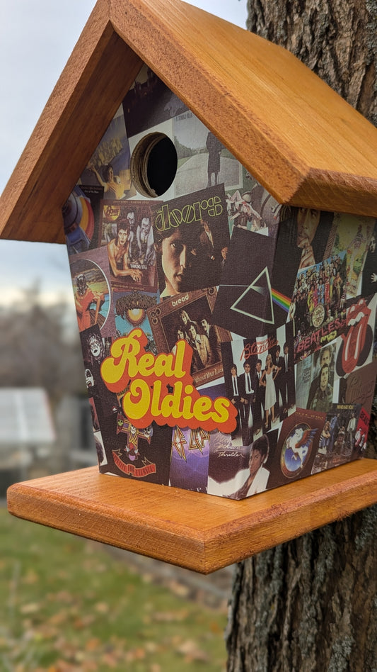 Real Oldies Birdhouse